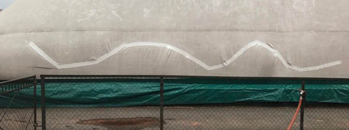 Plastic dome Plastic dome