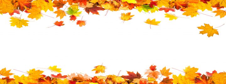 Høstferie camp for voksne Høstferie camp for voksne